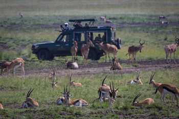 Elewana Sand River Masai Mara Hotel Maasai Mara Exterior photo